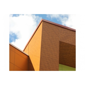 ГРАНД ЛАЙН Вертикаль 0,2 prof 0,45 Print Elite с пленкой Honey Wood TwinColor ГРАНД ЛАЙН Вертикаль 0,2 prof 0,45 Print Elite с пленкой Honey Wood TwinColor
