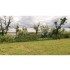 ГРАНД ЛАЙН Панель Medium 1,53х2,5 Zn GL